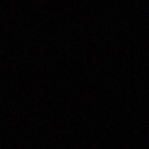 Meet your Posher, Larry